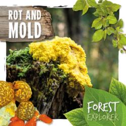 Rot & Mould (ISBN: 9781786374790)