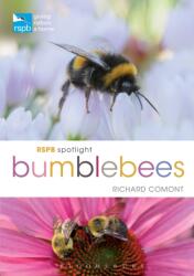 RSPB Spotlight Bumblebees (ISBN: 9781472966650)