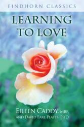 Learning to Love (ISBN: 9781620558355)