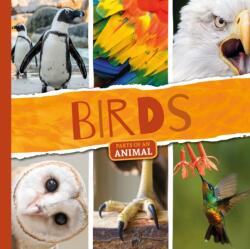 Birds (ISBN: 9781786374318)