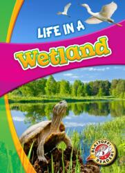 Life in a Wetland (ISBN: 9781626173224)