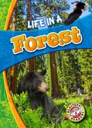 Life in a Forest (ISBN: 9781626173170)