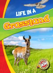 Life in a Grassland (ISBN: 9781626173187)