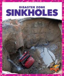 Sinkholes (ISBN: 9781620315651)