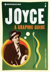 Introducing Joyce (ISBN: 9781848313514)