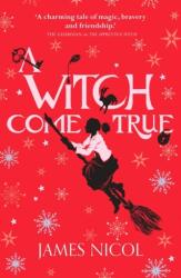A Witch Come True (ISBN: 9781910655986)