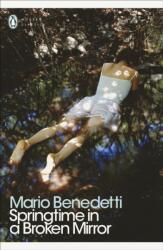 Springtime in a Broken Mirror (ISBN: 9780241302620)