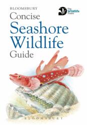 Concise Seashore Wildlife Guide (ISBN: 9781472968296)