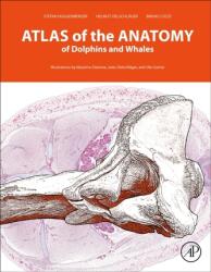 Atlas of the Anatomy of Dolphins and Whales (ISBN: 9780128024461)