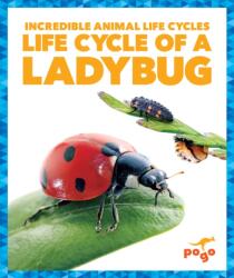 Life Cycle of a Ladybug (ISBN: 9781624968181)