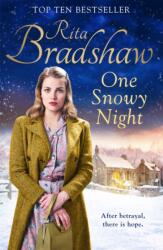 One Snowy Night (ISBN: 9781509898084)