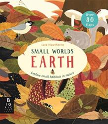 Small Worlds: Earth (ISBN: 9781787415638)