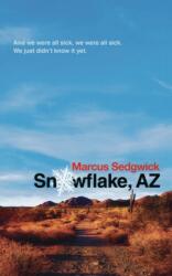 Snowflake, AZ (ISBN: 9781788542333)