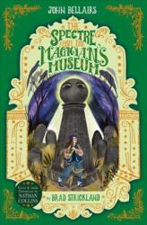 The Spectre From the Magician's Museum - The House With a Clock in Its Walls 7 (ISBN: 9781848128224)