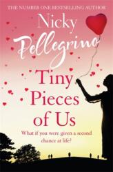 Tiny Pieces of Us (ISBN: 9781409179009)