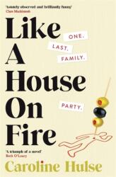 Like A House On Fire (ISBN: 9781409178354)