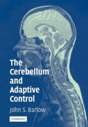 Cerebellum and Adaptive Control - John S. Barlow (2005)