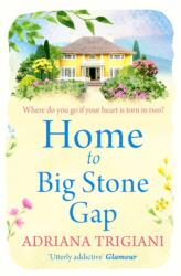 Home to Big Stone Gap (ISBN: 9781471148934)