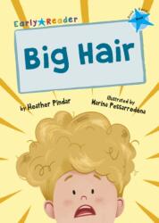 Big Hair (ISBN: 9781848866621)