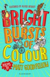 Bright Bursts of Colour (ISBN: 9781472963543)