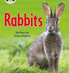Bug Club Phonics Non Fiction Year Two Phase 5 Set 27 Rabbits (ISBN: 9780433019572)