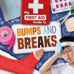 Bumps and Breaks (ISBN: 9781786378323)