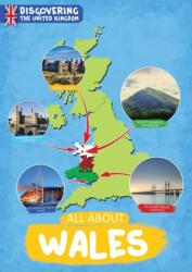 All About Wales (ISBN: 9781839271106)