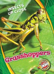 Grasshoppers (ISBN: 9781626176652)
