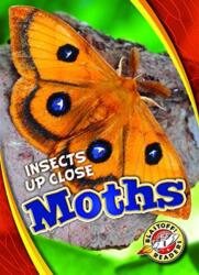 Moths (ISBN: 9781626177185)