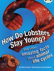 Bug Club Independent Non Fiction Year 3 Brown A How Do Lobsters Stay Young? (ISBN: 9780435075781)