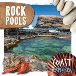 Rock Pools (ISBN: 9781786379917)