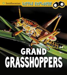 Grand Grasshoppers (ISBN: 9781474770675)