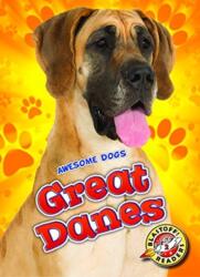 Great Danes (ISBN: 9781626173064)