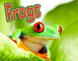 Frogs (ISBN: 9781474792684)