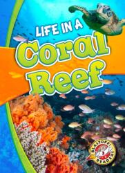 Life in a Coral Reef (ISBN: 9781626173156)