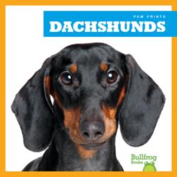 Dachshunds (ISBN: 9781624967689)