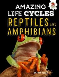 Reptiles and Amphibians - Amazing Life Cycles (ISBN: 9781912108992)