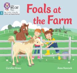 Foals at the Farm (ISBN: 9780008668266)