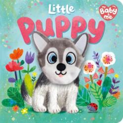 Little Puppy (ISBN: 9781837954810)