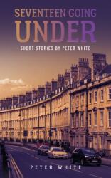 Seventeen Going Under (ISBN: 9781398480568)