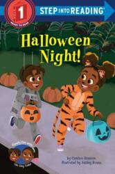 Halloween Night! (ISBN: 9780593807736)