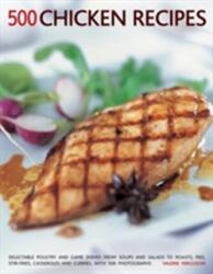500 Chicken Recipes (ISBN: 9781781460191)