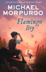 Flamingo Boy (ISBN: 9780008638740)