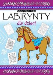 Labirinturi favorite pentru copii și adolescenți (ISBN: 9788368083354)