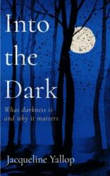 Into the Dark (ISBN: 9781837730728)