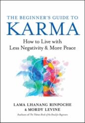 The Beginner's Guide to Karma (ISBN: 9781608688722)