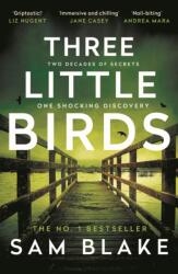 Three Little Birds (ISBN: 9781805460145)
