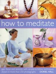 How to Meditate (ISBN: 9781844767502)