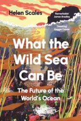 What the Wild Sea Can Be (ISBN: 9781804710531)