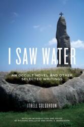 I Saw Water (ISBN: 9780271064239)